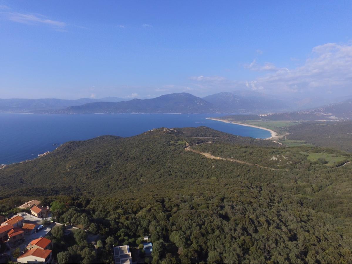 Chez Marc Et Jeannick Panzió Belvedere-Campomoro Kültér fotó